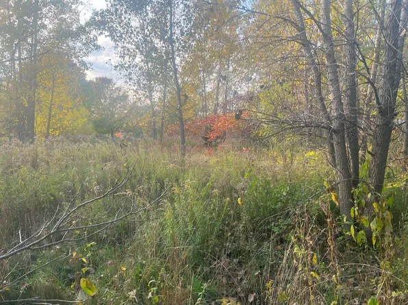 9507 Ferris Rd, Springport, MI 49284