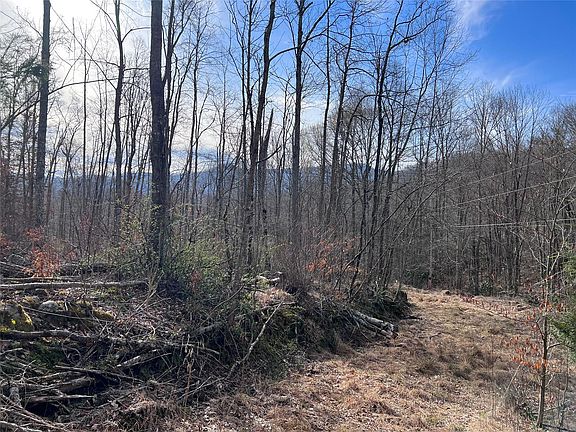 4th image of 0 White Dogwood Ln