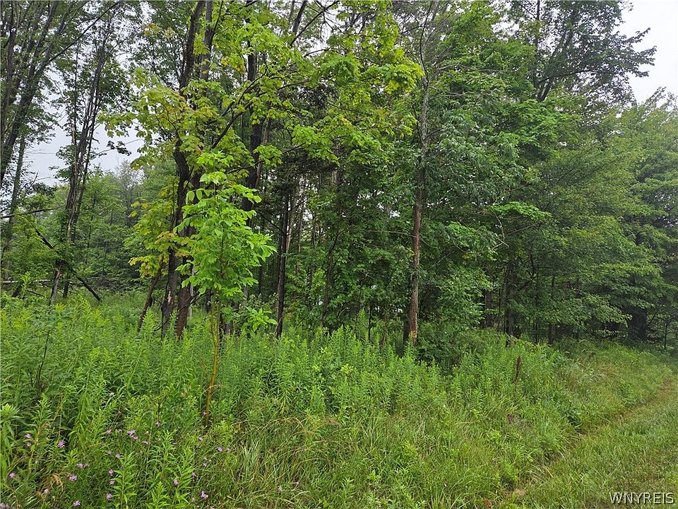 2nd image of 1 Darien Rd Lot 10