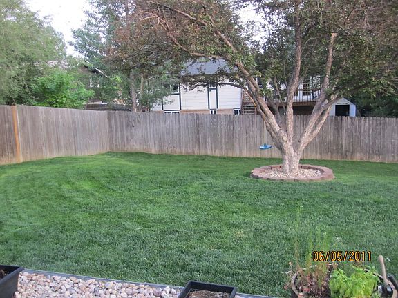 Backyard - Looking South