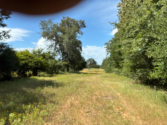 4th image of 10AC Interstate Highway 45 S