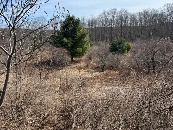 L40.3 Middle Road, Salem, NY 12865