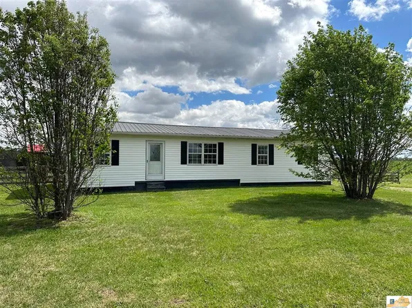 1154 Liberty Lawson Rd, Hardyville, KY 42746