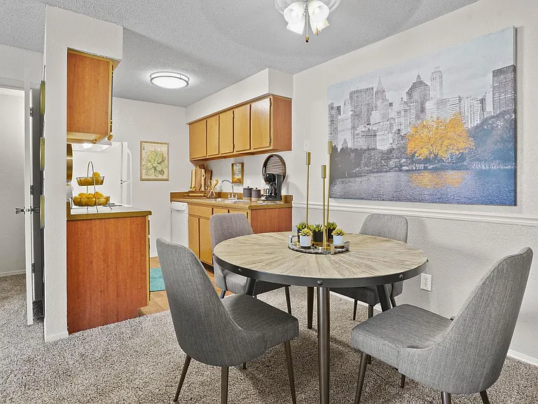 Silver Springs Apts. — Photo 10