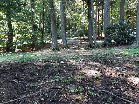 5th image of 370 Timberline Dr
