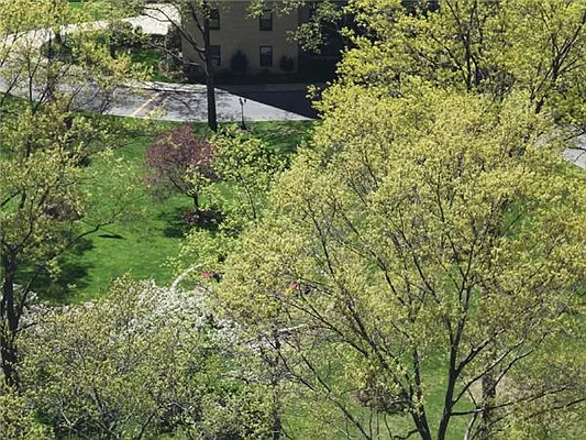 Sold by Exclusive Properties Sotheby's International Realty | media 5