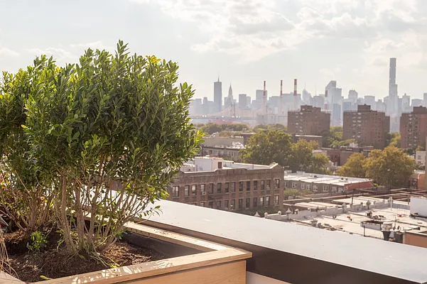 Rented by MNS | media 26