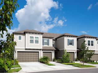 31787 Blue Passing Loop, Wesley Chapel, FL 33545