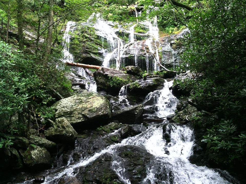 1st image of 286 Atlantic Falls Trl