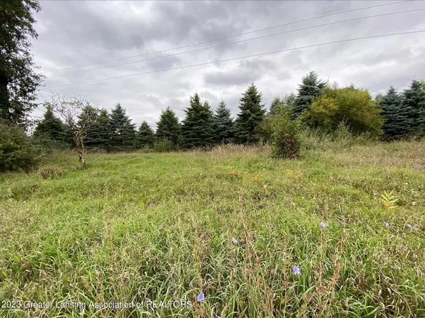 7137 W Hyde Rd, Saint Johns, MI 48879