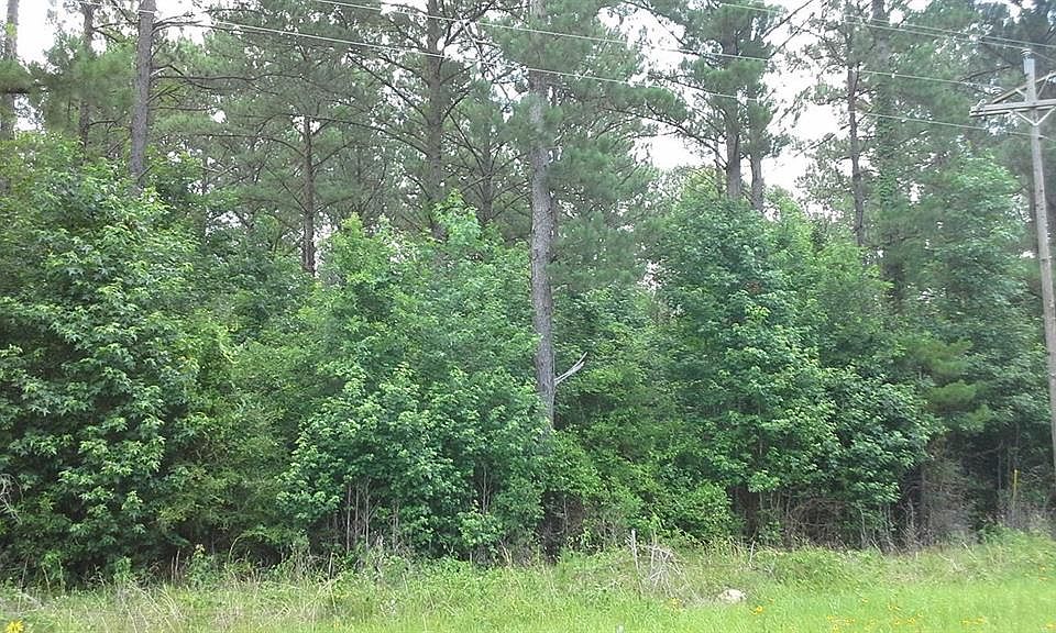 1st image of 15 Acre Fm 2992 E