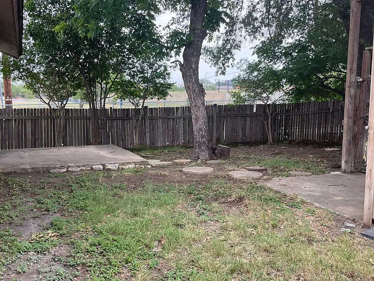Backyard