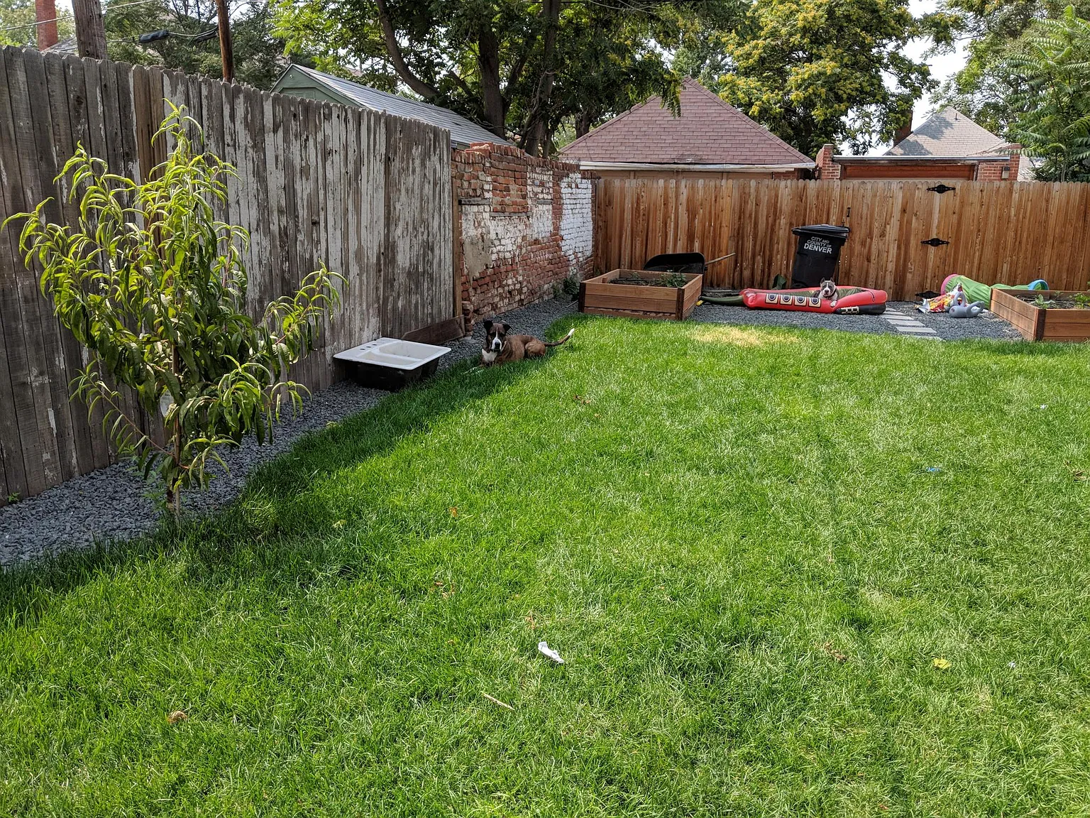2 bed, 750 sqft, $2,350 — Photo 2