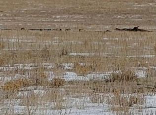 246 Montezuma Rd, Lake George, CO 80827