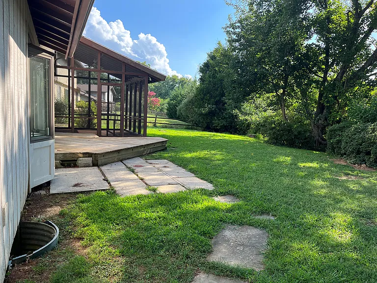 Back yard