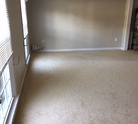 New Carpet front L. Room