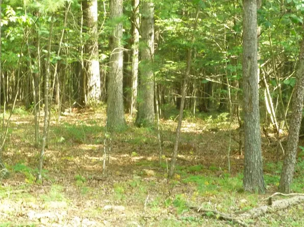 Alum Springs Rd, Edinburg, VA 22824