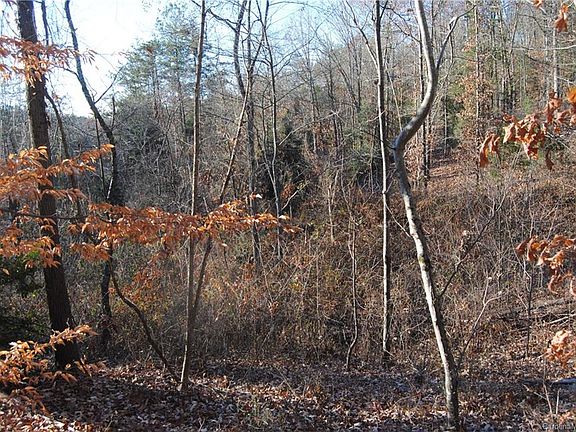 2nd image of 0 Old Lion Rd