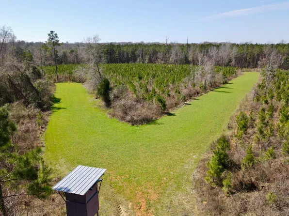 0 County Road 71, Greenville, AL 36037