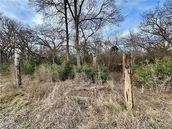 4th image of 10075 River Ridge Dr