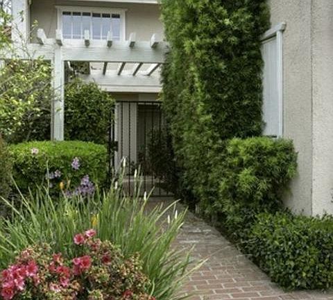 2nd image of 2816 Bottlebrush Dr