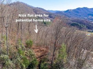 99999 Bernies Trl #11, Waynesville, NC 28785