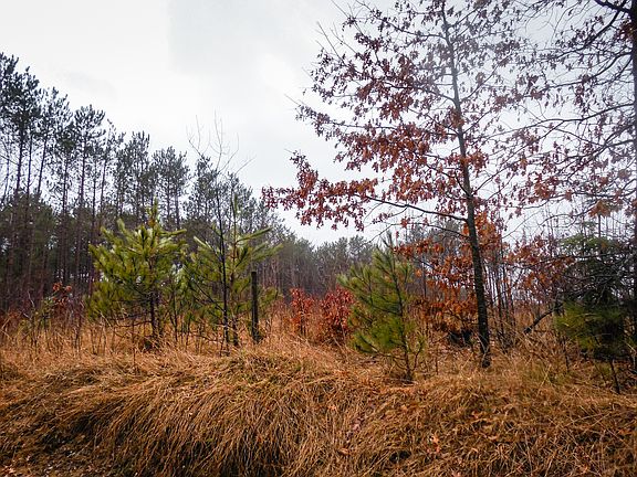 4th image of 4873 Ostrenga Ln