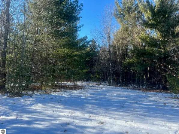 3436 Woodman Rd SW, South Boardman, MI 49680