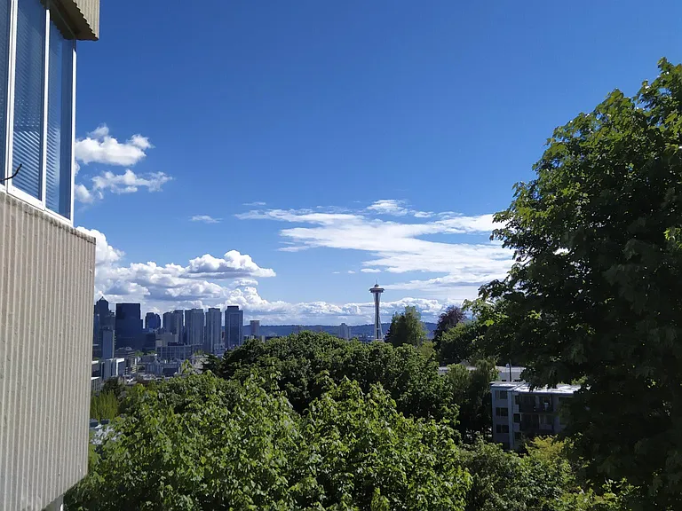 View from the building