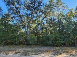 5550 JENKINS LOOP Drive, Keystone Heights, FL 32656