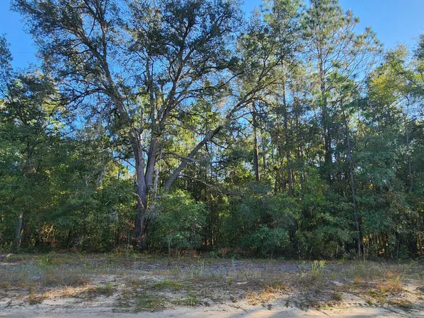 5550 JENKINS LOOP Drive, Keystone Heights, FL 32656