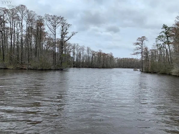 238 Plumtree Cir, Edenton, NC 27932