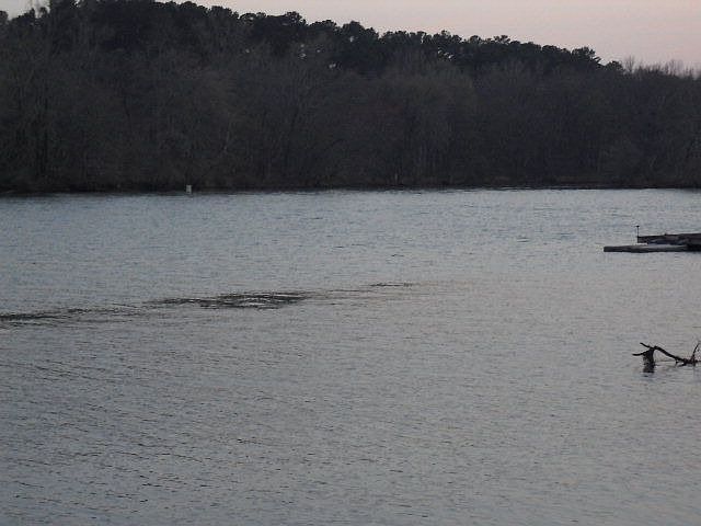 1st image of 107 River Bend Dr