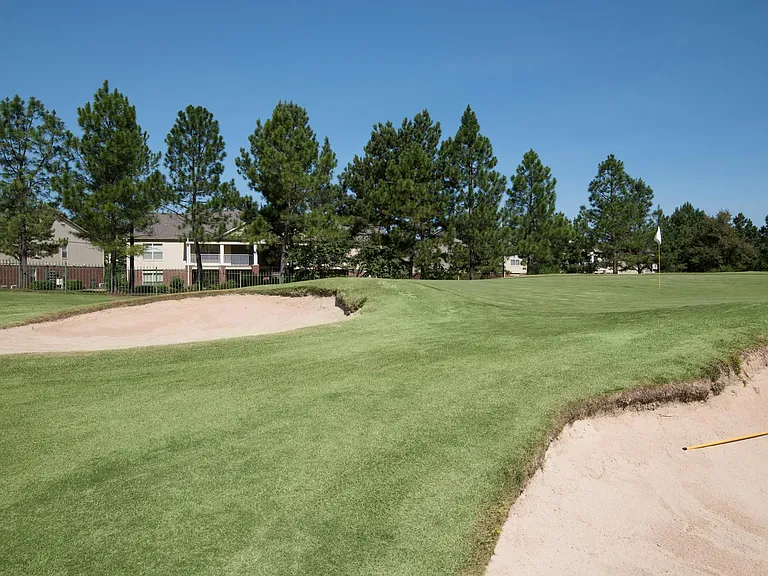 Eagle Nest — Photo 17