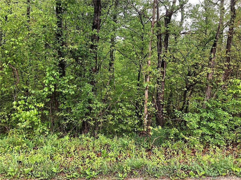 2nd image of S Riddle Rd