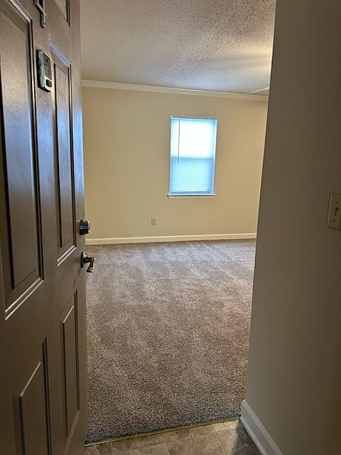 Apartment entrance to living room