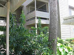 2nd image of 14777 Wunderlich Dr APT 304