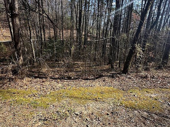 2nd image of 2 Acres Black Walnut Ln