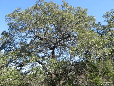 0 SIERRA RDG LOT 340, Canyon Lake, TX, 78133