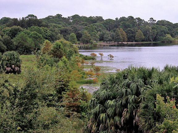 view from balcony