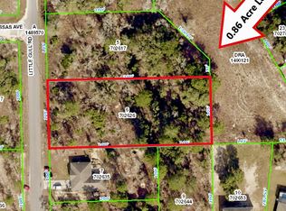11230 Little Gull Rd, Weeki Wachee, FL 34614