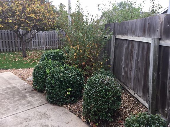 4th image of 1319 NW 5th St