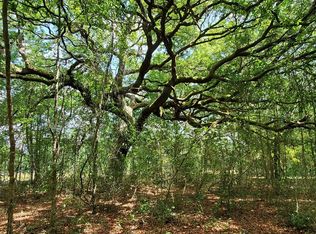 N State Road 51 LOT 11, Mayo, FL 32066