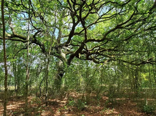 N State Road 51 Lot 11, Mayo, FL 32066