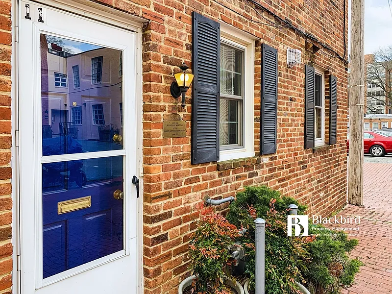 2 bed, 1.0 bath, 700 sqft, $2,950 — Photo 3