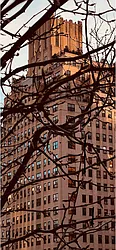 Sold by Patrick Quagliano, LREB