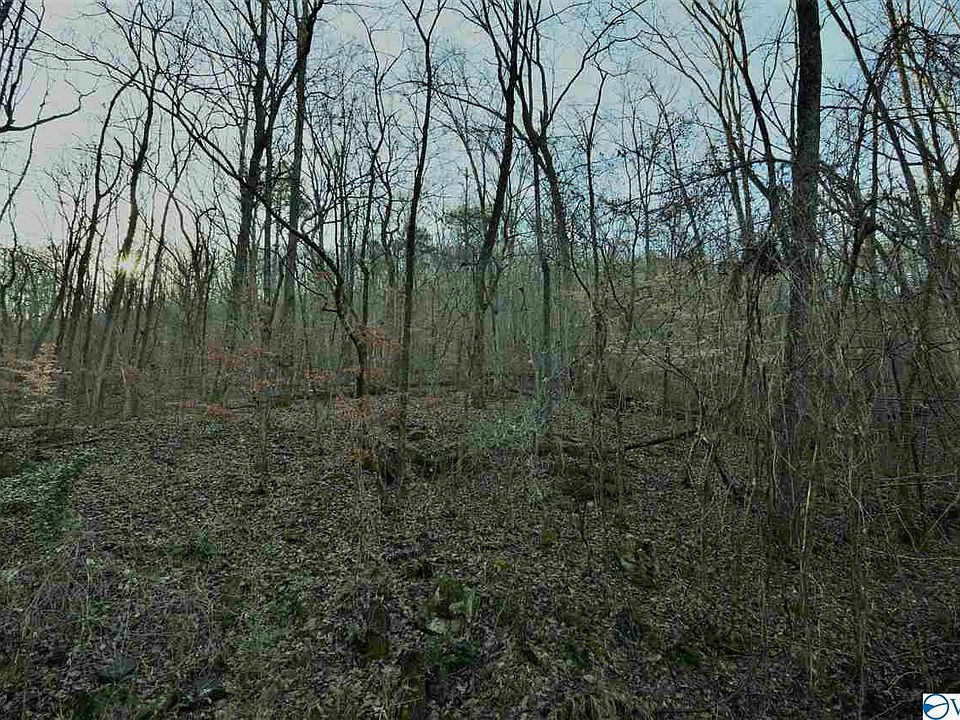 2nd image of 5 Northwoods Trl
