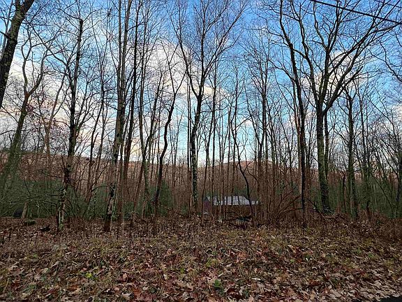5th image of Lots 99 And 100 Redwood Dr
