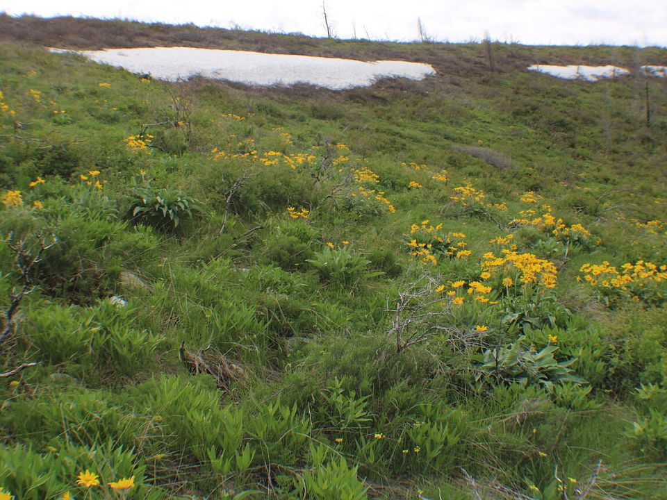 1st image of 0 Caribou Village Subdivision Phase 1 39 #&-40