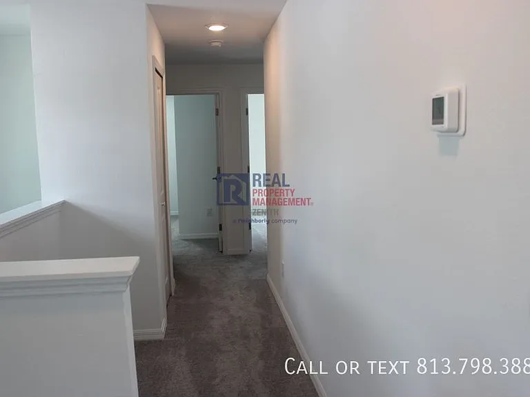 32146 Powderpuff Mimosa Dr — Photo 19